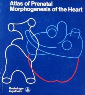 Atlas of Prenatal Morphogenesis of the Heart