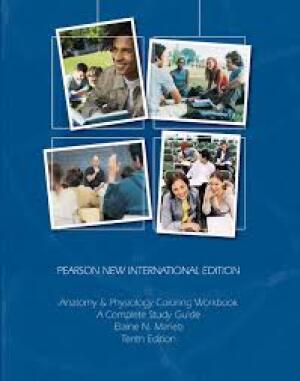 ANatomy & Physiology Coloring workbook