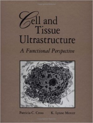 Cell and tissue ultrastructure, A functional perspective