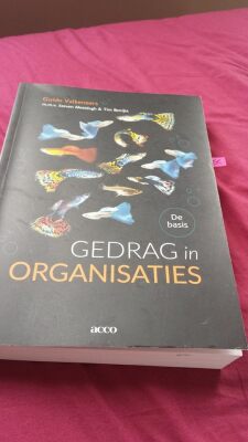 Gedrag in Organisaties