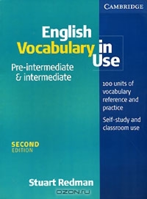 English Vocabulary in Use (Pre-intermediate & Intermediate)
