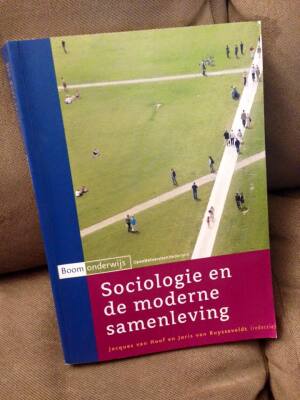 Sociologie en de Moderne Samenleving
