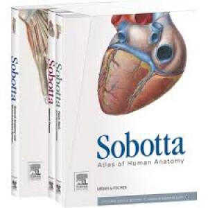 Sobotta: Atlas of Human Anatomy
