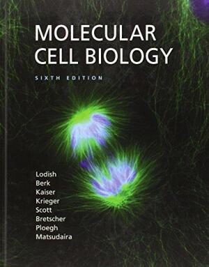 molecular cell biology