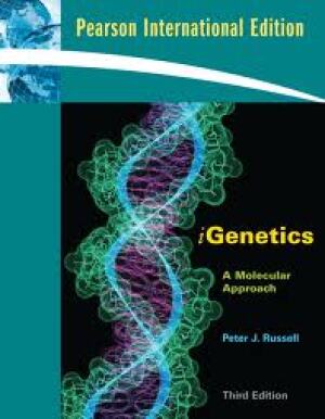 iGenetics, a Molecular Approach
