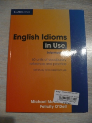 English Idioms in use