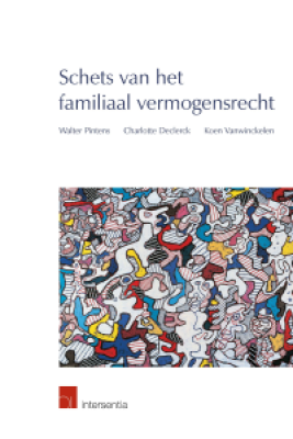 Schets van het familiaal vermogensrecht
