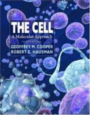 The Cell