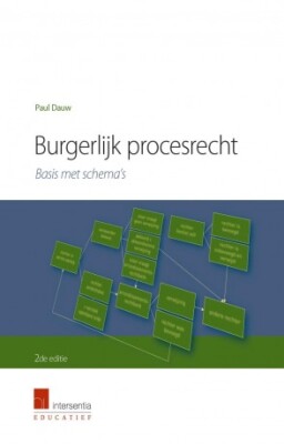 Burgerlijk Procesrecht Basis met schema's