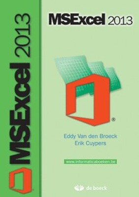 MSExcel 2013