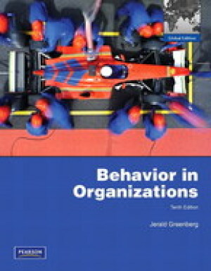 Behavior in organisations