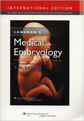 medical embryology