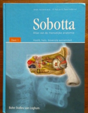 SOBOTTA Deel 2 Romp, organen, onderste extremiteit