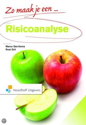 Zo maak je een risico analyse