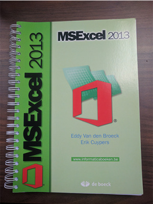 MSExcel 2013