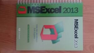 MSExcel 2013
