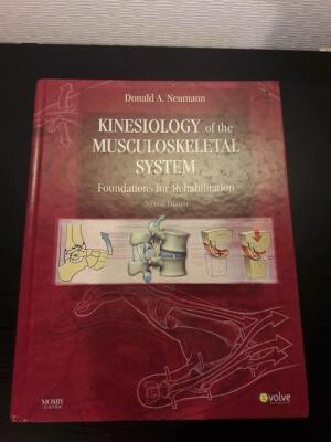 Kinesiology of the musculoskeletal system