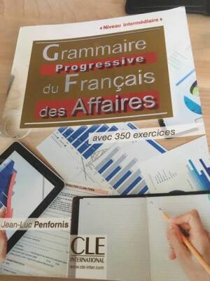 Grammaire Progressive du Francais des Affaires