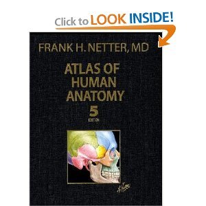 Atlas of human anatomy 5th edition