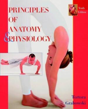 Principles of anatomy and Physiology