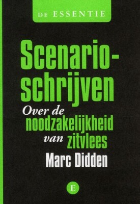 Scenarioschrijven Over de noodzakelijkheid van zitvlees