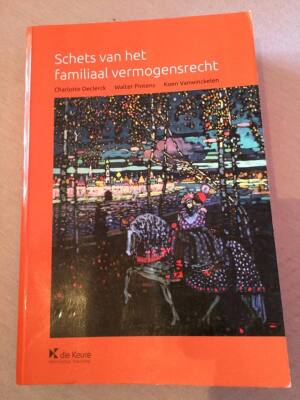 Schets van het familiaal vermogensrecht