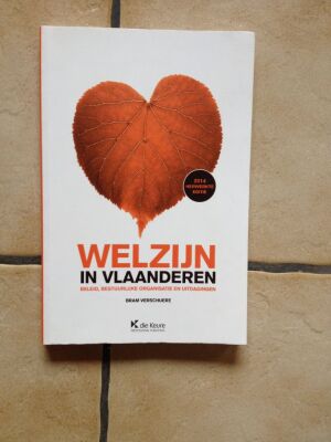 Welzijn in Vlaanderen - Beleid, bestuurlijke organisatie en uitdagingen