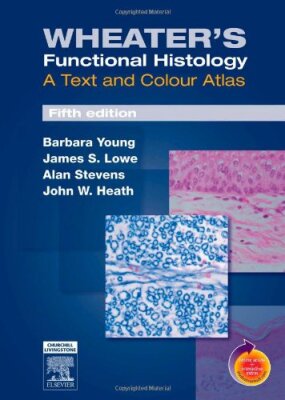 Wheater's functional histology: a text and colour atlas (5th edition)