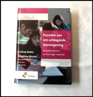 Puzzelen aan een uitdagende leeromgeving