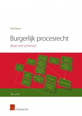 Burgerlijk procesrecht - Basis met schema's