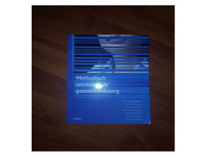 Methodisch werken in de gezondheidszorg