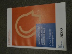 Orthopedagogiek: een situering van praktijk, onderzoek en beleid