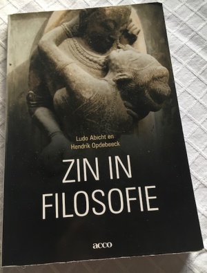 Zin in filosofie