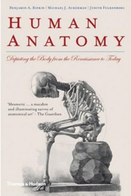 Human Anatomy: depicting the body from the renaissance to today