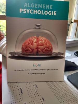 Cognitieve psychologie. Theorie en praktijk