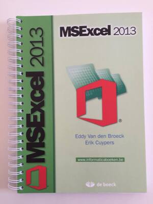 MSExcel 2013