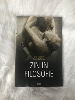 Zin in filosofie