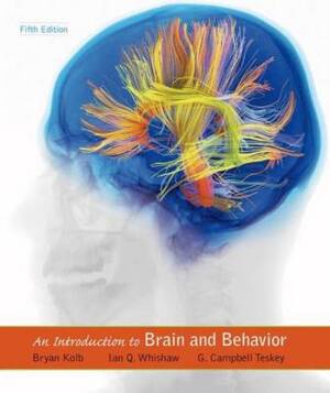 An introduction to brain and behaviour