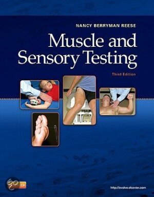 Muscle and sensory testing