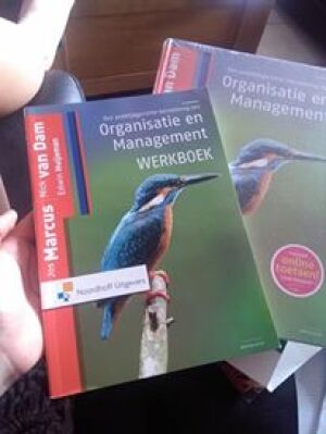 Een praktijkgerichte benadering van organisatie en management - werkboek