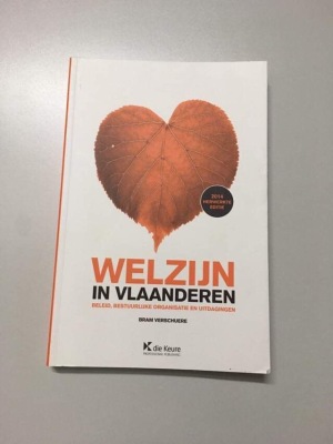 Welzijn in Vlaanderen - Beleid, bestuurlijke organisatie en uitdagingen