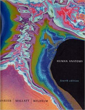 Human Anatomy, 4th edition