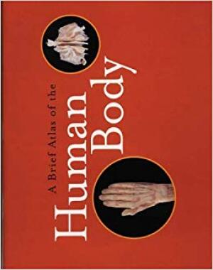 a brief atlas of the human body