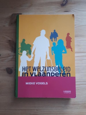 Het welzijnsbeleid in Vlaanderen
