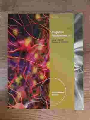 Cognitive neuroscience