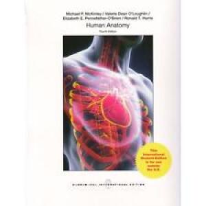 Human Anatomy