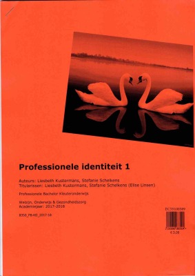 Professionele identiteit 1