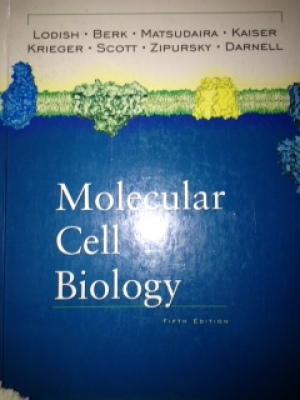 Molecular Cell Biology (fifth edition)