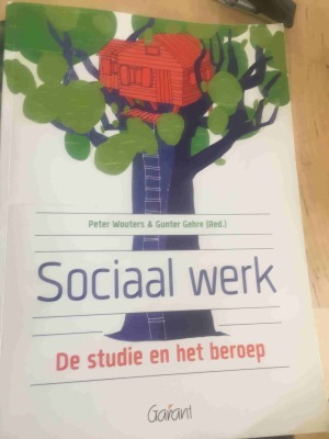 Sociaal Werk: De Studie En Het Beroep