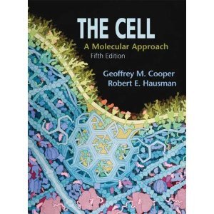 The cell